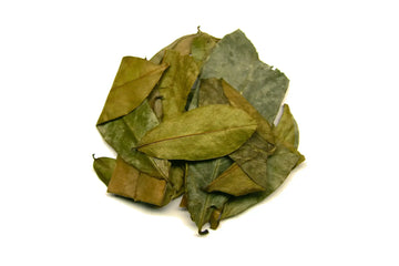 Soursop Leaves