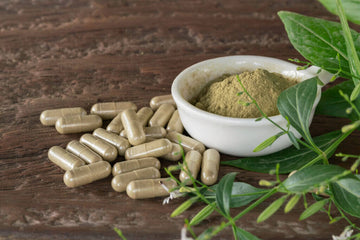 image of Sea Moss capsules
