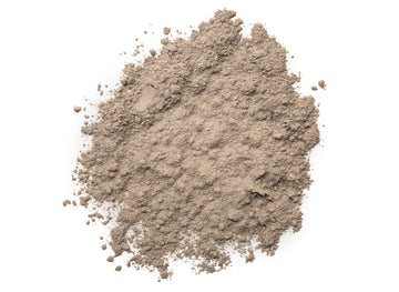 Sea Moss Powder (Chondrus Crispus from Maine)