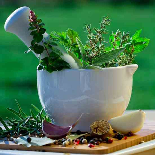 Herbal medicines by chakra herbs